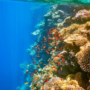 Hurghada