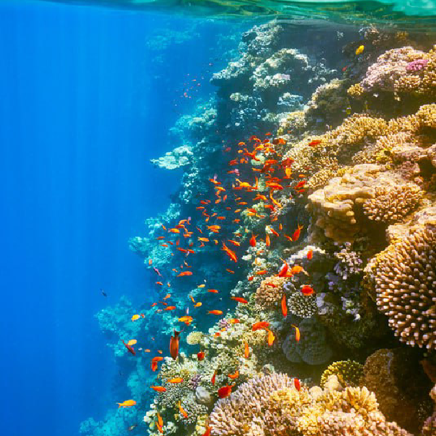 Hurghada