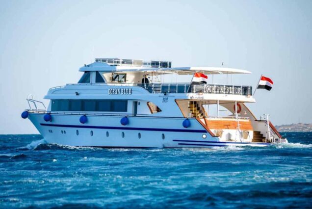 Private Boat Snorkeling Trip And Lunch Maximum 8 Pax From Hurghada