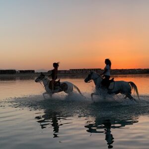 Horse Riding in Hurghada: Beach, Desert, Swimming, Sunrise & Sunset Adventure