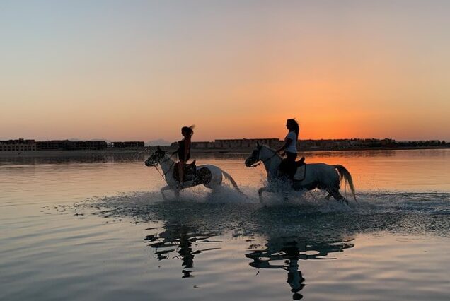 Horse Riding in Hurghada: Beach, Desert, Swimming, Sunrise & Sunset Adventure